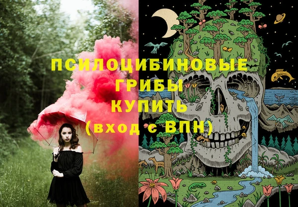 шишки Баксан