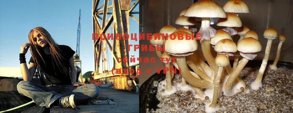 шишки Баксан