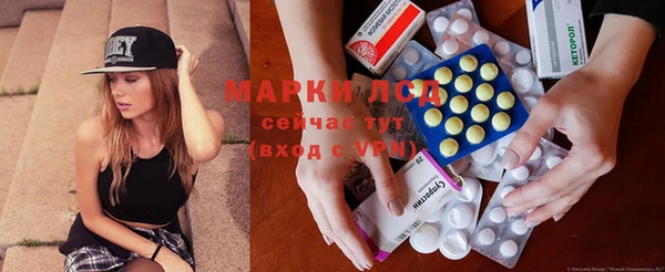 шишки Баксан