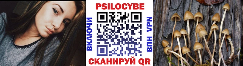 Галлюциногенные грибы прущие грибы  где купить наркотик  Городище 
